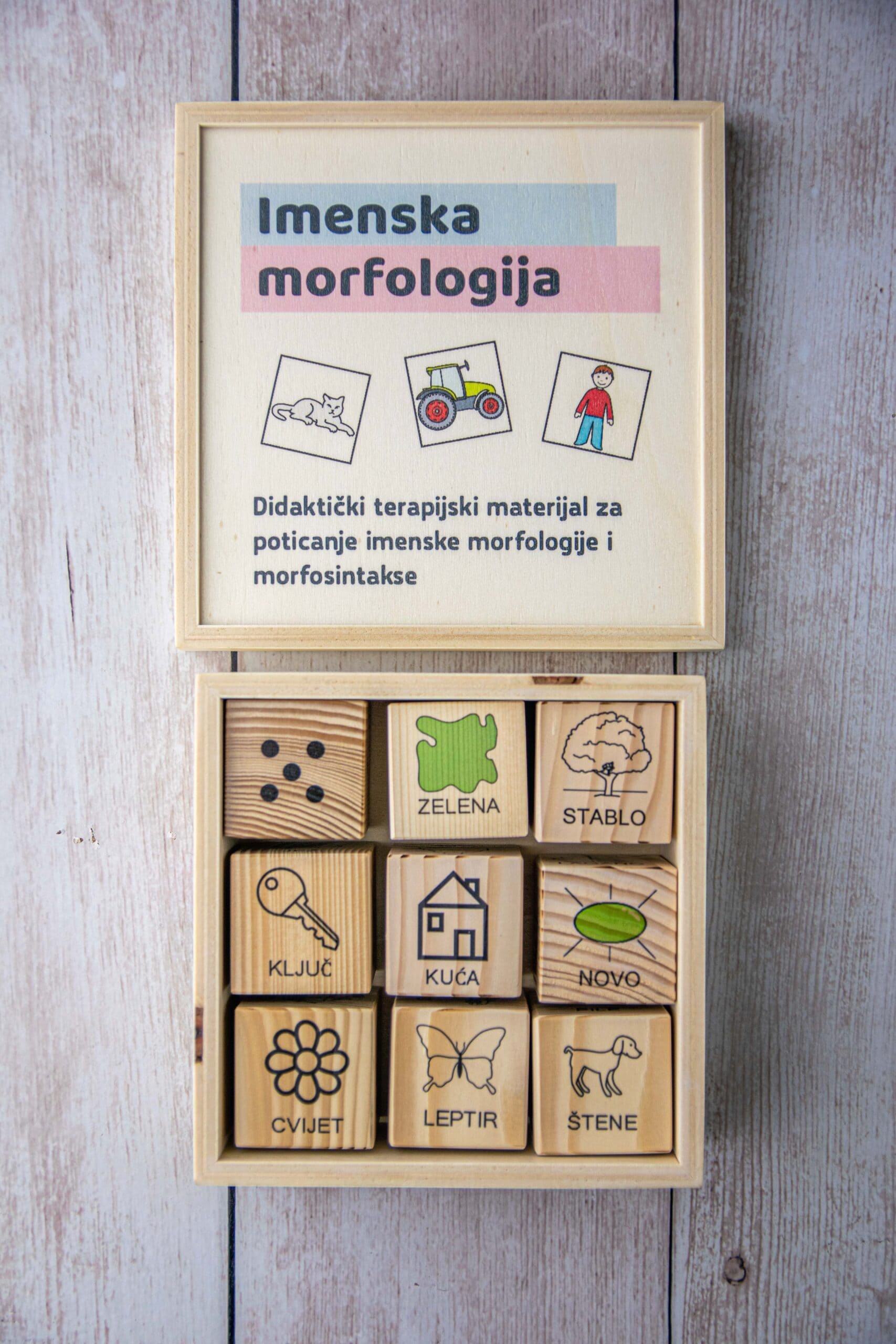 Imenska morfologija slika 2