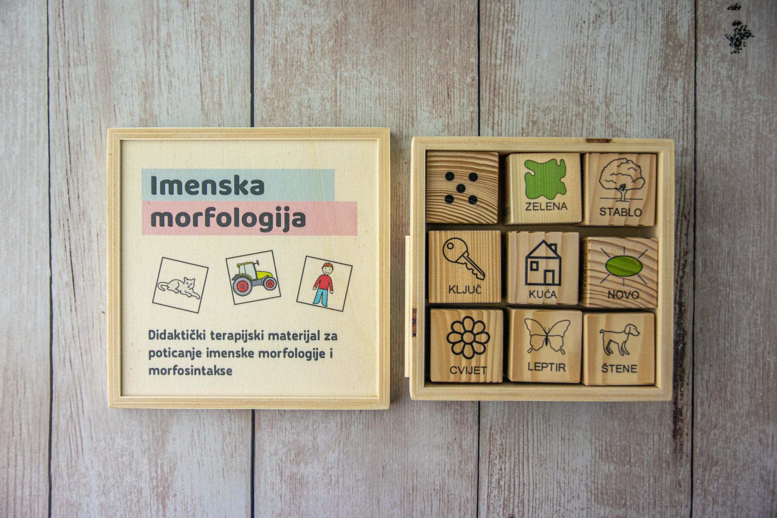 Imenska morfologija slika 3